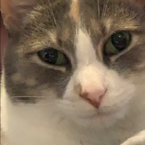 Meet your Posher, Evan